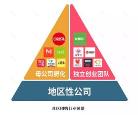 起底社区团购 起源 激战与终局