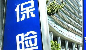 惠州人注意了,明天起,这些新规将影响你的生活