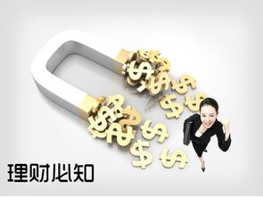 新手如何做好个人投资理财规划