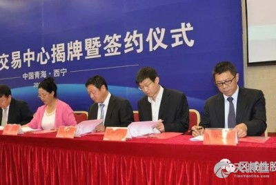 中金瑞石投资管理有限责任公司