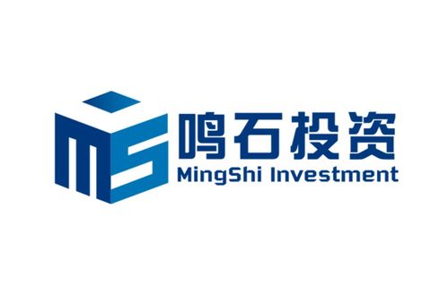 上海鸣石投资管理