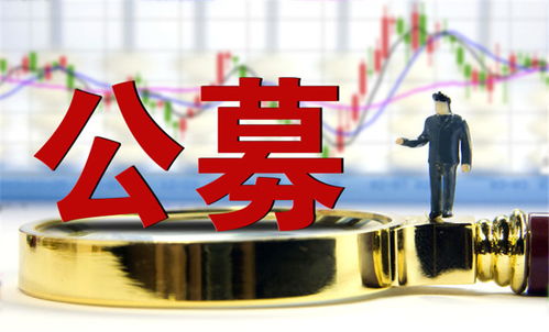 认购资金超300亿 首批reits遭疯抢 配售比例低至1.5 机构提示风险