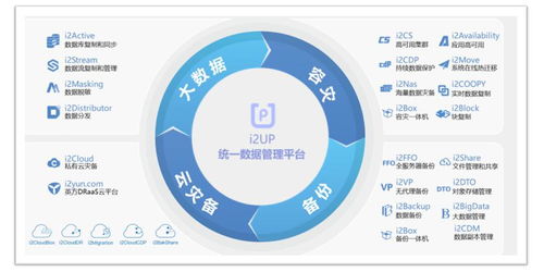数据资产管理,新电子政务建设利器