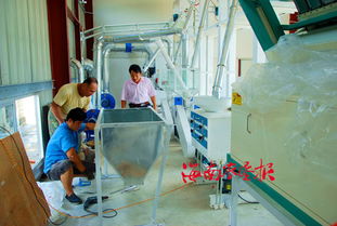 中建农场投资兴建南吕香大米加工厂的投资管理策略与实践